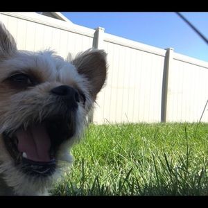 Meet your Posher, Madison